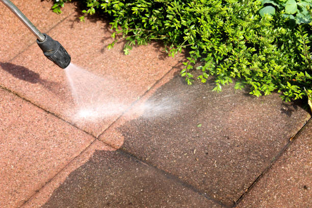 Best Fleet & Vehicle Pressure Washing in Chenoa, IL